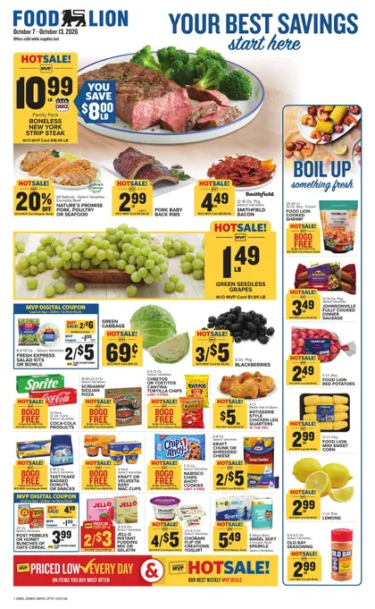 Food Lion Weekly Ad