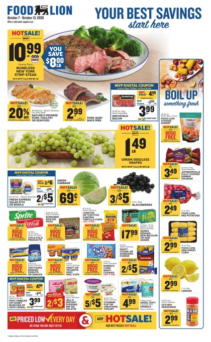 Food Lion Weekly Ad