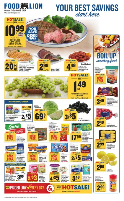 Food Lion Weekly Ad