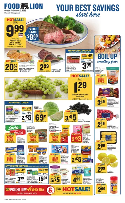 Food Lion Weekly Ad