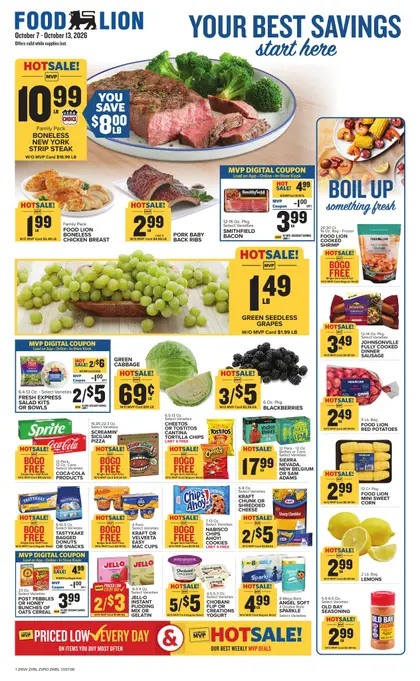 Food Lion Weekly Ad