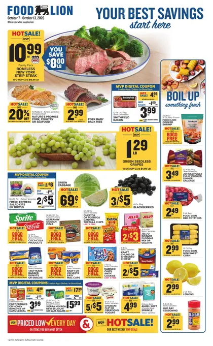Food Lion Weekly Ad