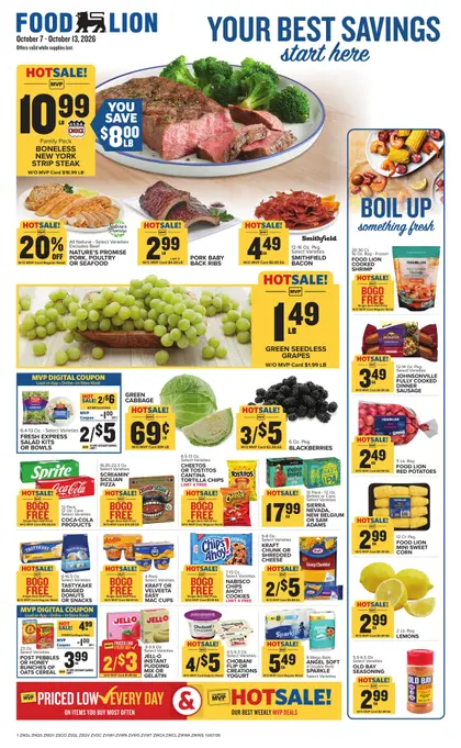Food Lion Weekly Ad