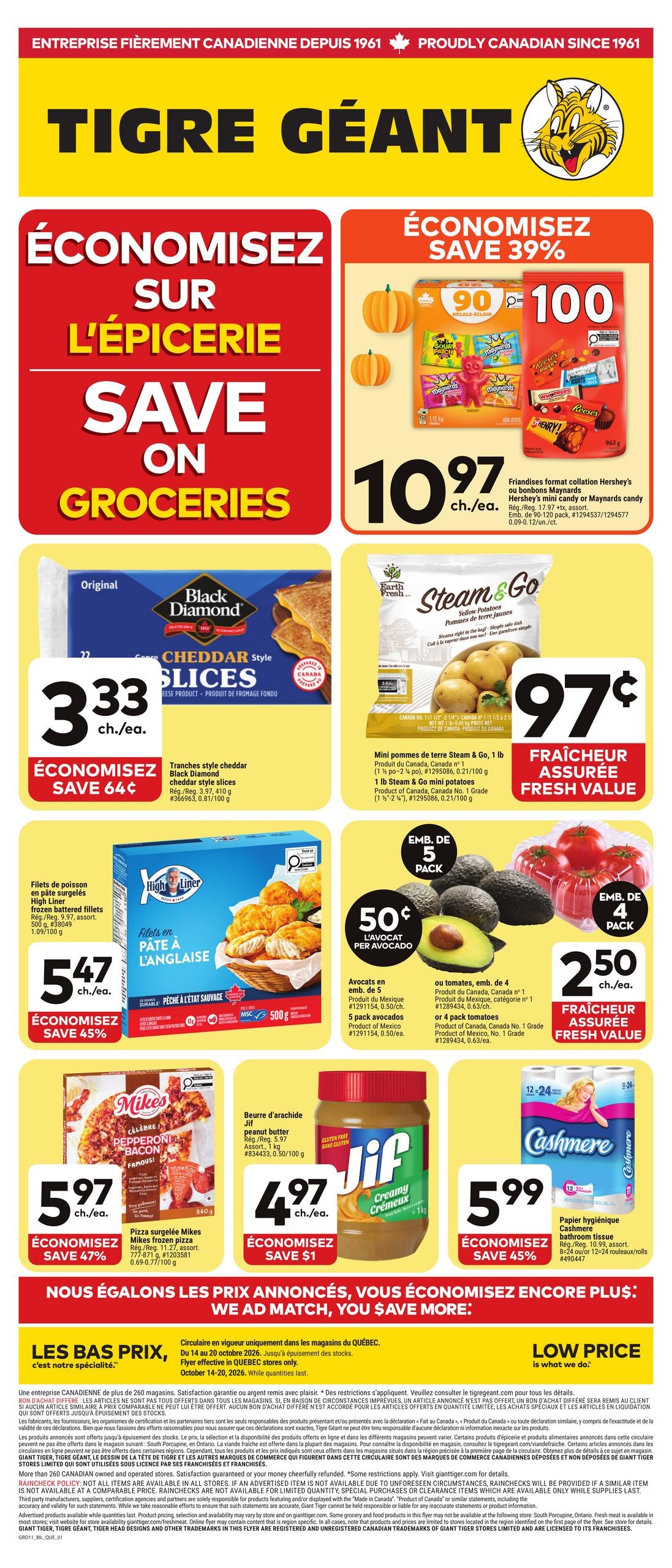 Giant Tiger flyer page 1