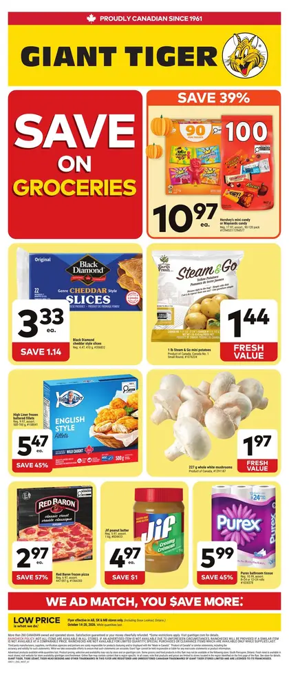 Giant Tiger Weekly Flyer
