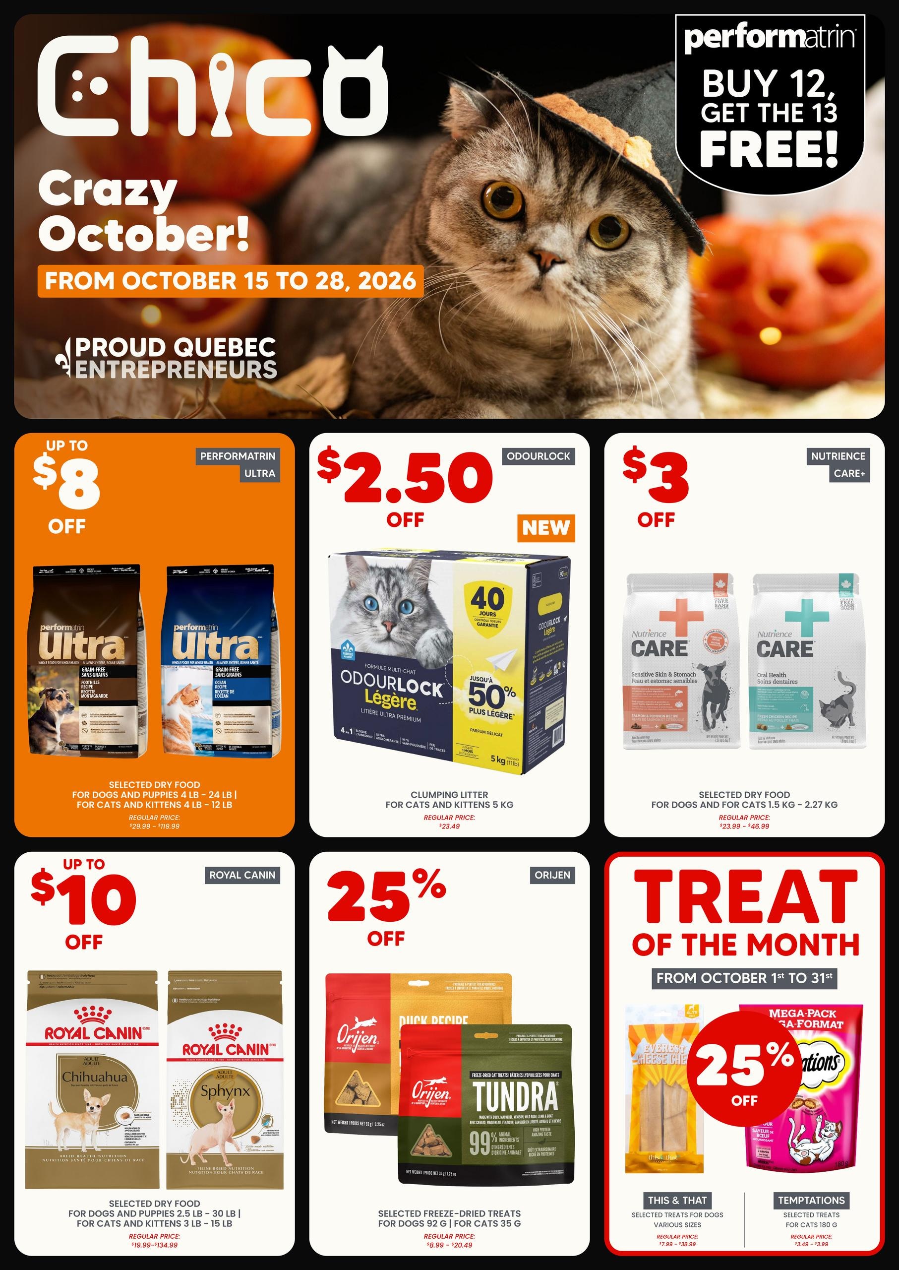 Chico flyer page 1