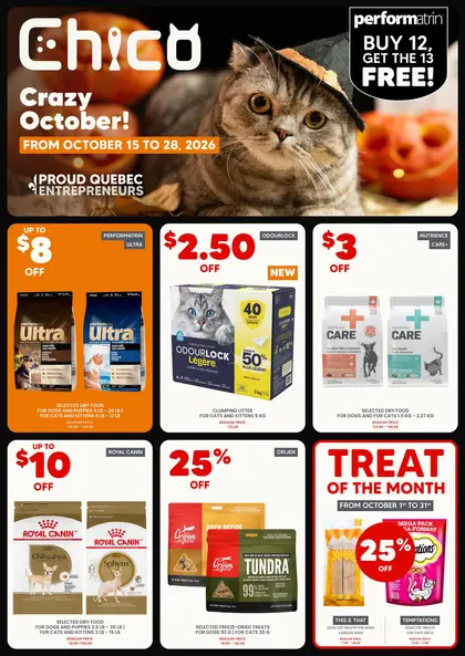 Chico Flyer