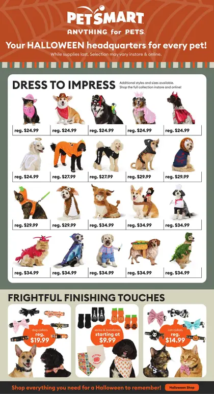 PetSmart Halloween Lookbook