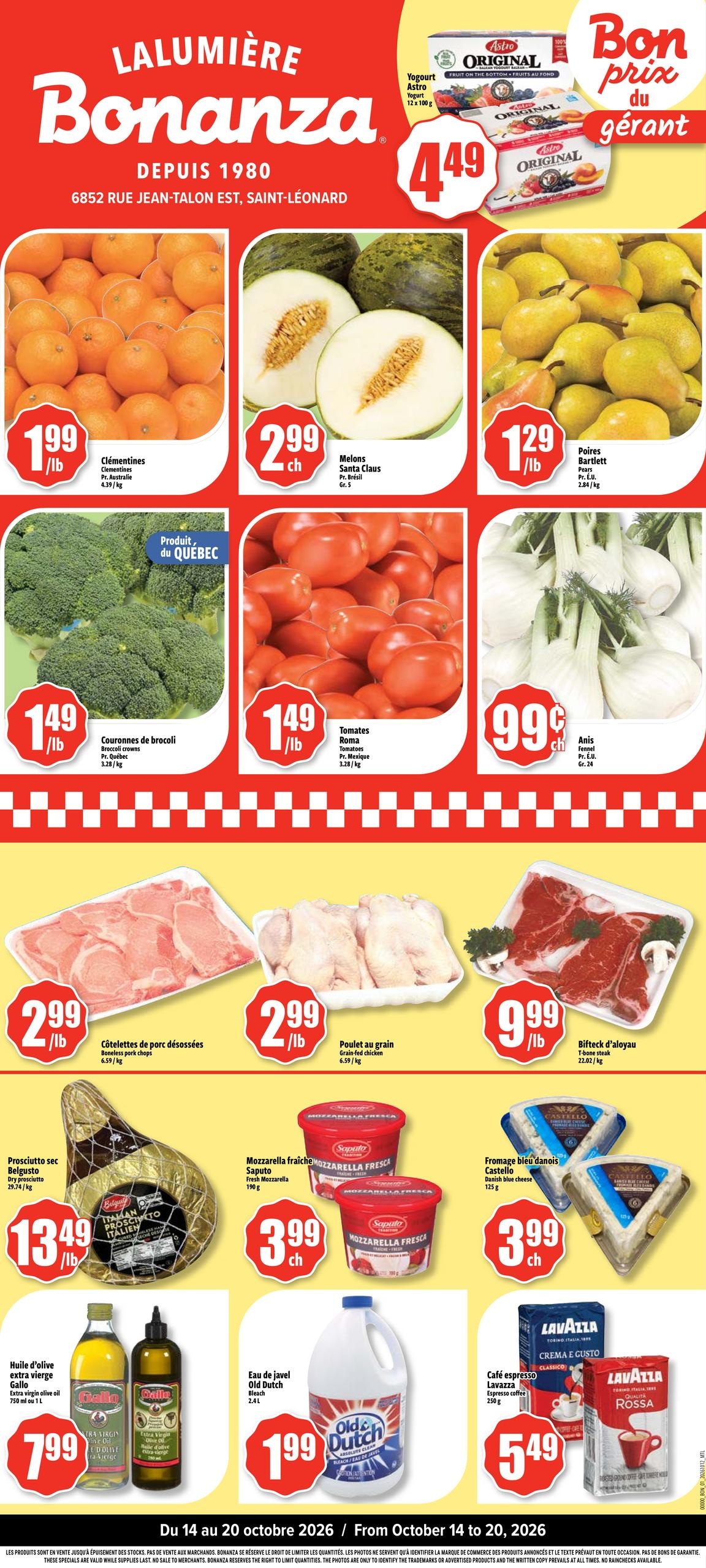 Bonanza flyer page 1