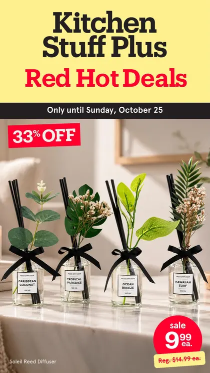 Kitchen Stuff Plus Flyer
