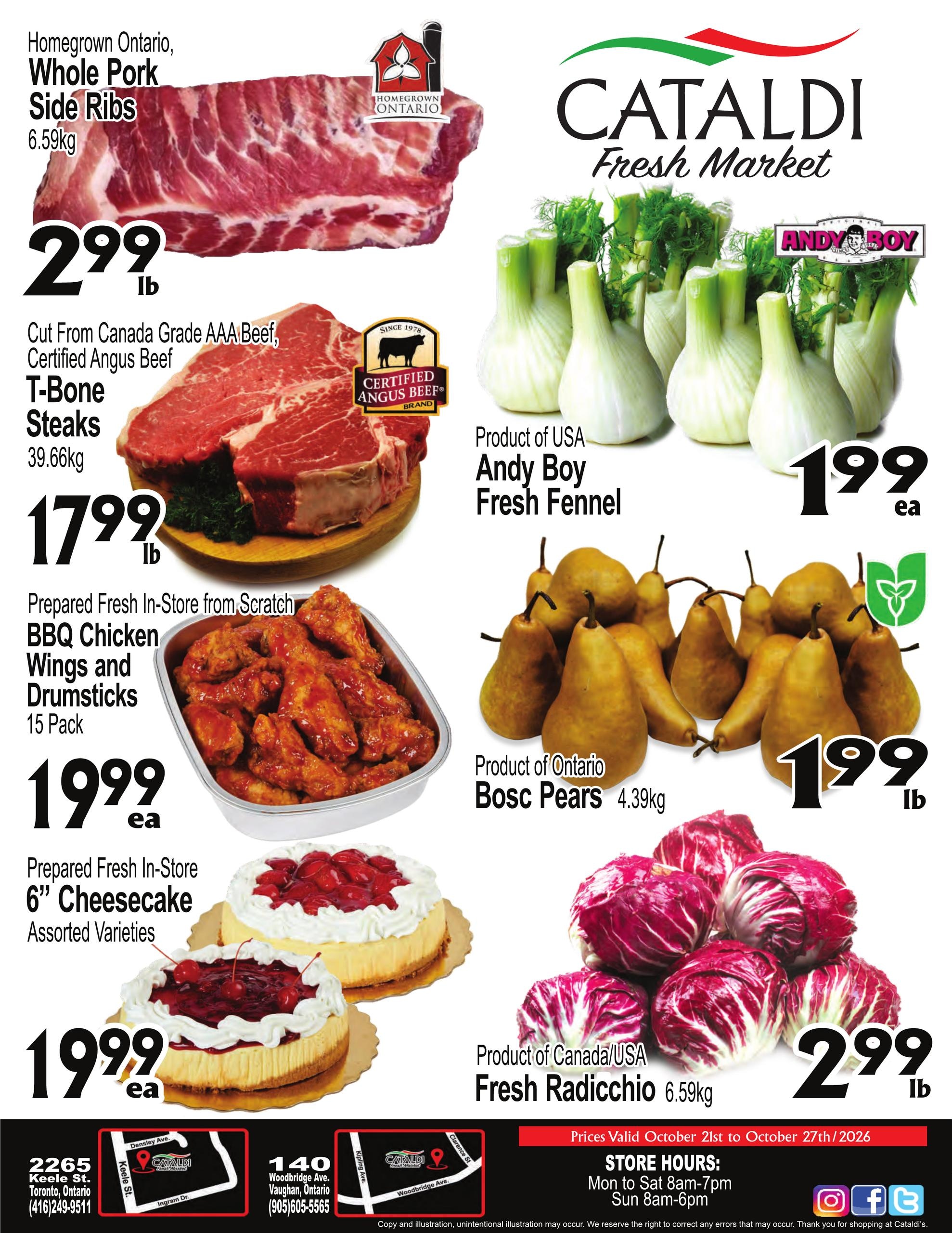 Cataldi flyer page 1