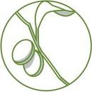 Ammar's Market logo