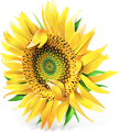 Centre de Jardin logo