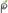 Pic-N-Sav logo