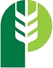 Pitura Seeds logo