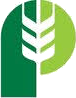 Pitura Seeds logo