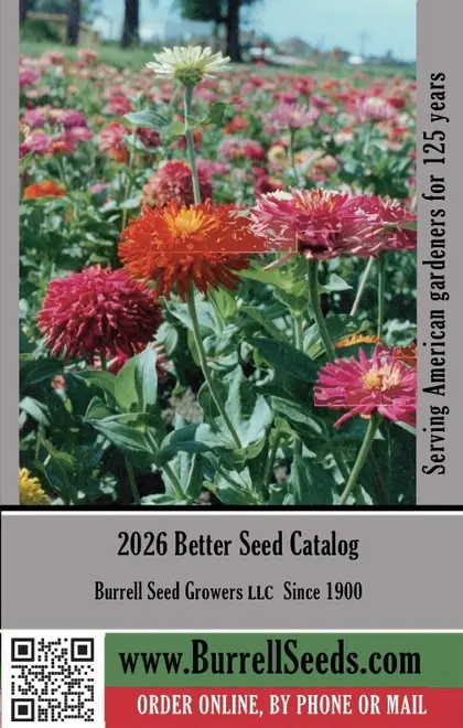 Burrell Seed Growers Seed Catalog Weekly Ad