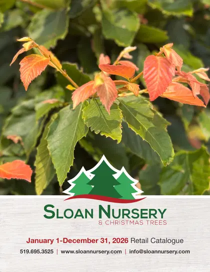 Sloan Nursery & Christmas Trees Annual Retail Catalog Weekly Ad