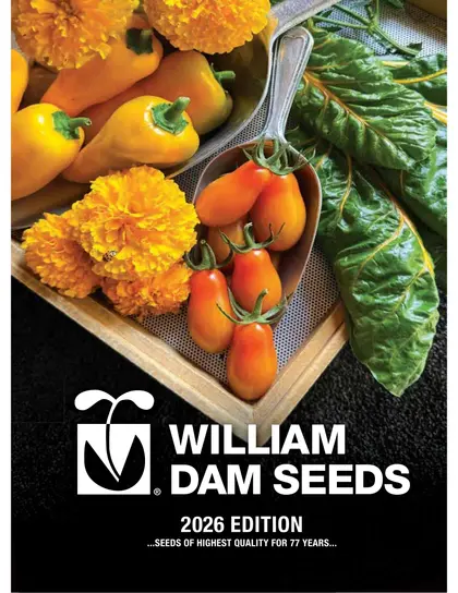 William Dam Seeds Annual Catalog Weekly Ad
