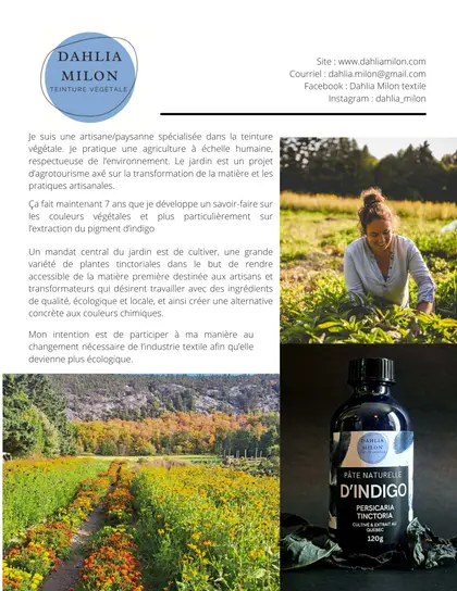 Dahlia Milon Annual Plant Catalog Weekly Ad