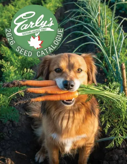 Early's Farm & Garden Centre 2026 Seed Catalogue