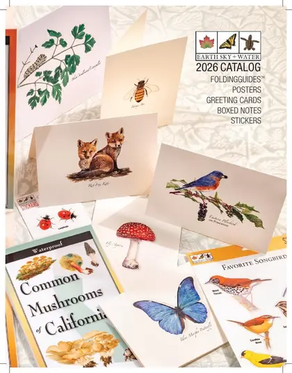 Earth Sky + Water Art Products Catalog Weekly Ad
