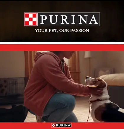 IGA Food Cache Purina