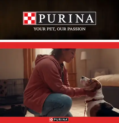 Three Bears Alaska Purina