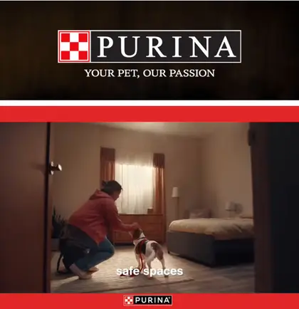 Wrangell IGA Purina