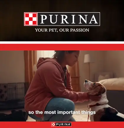 Del Sol Market Purina