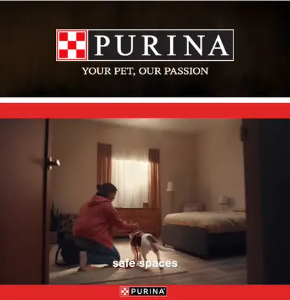 Big Al's Market Purina