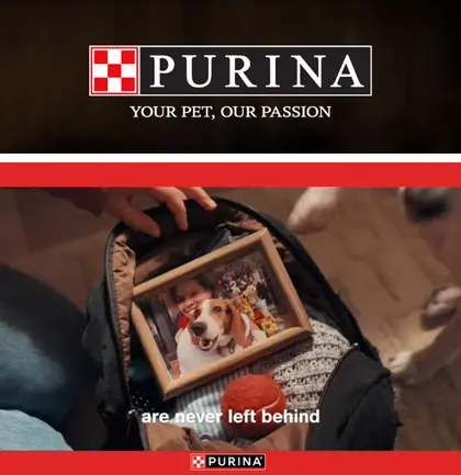 Jasper Market Purina