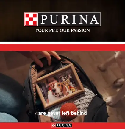Trenton Market Purina