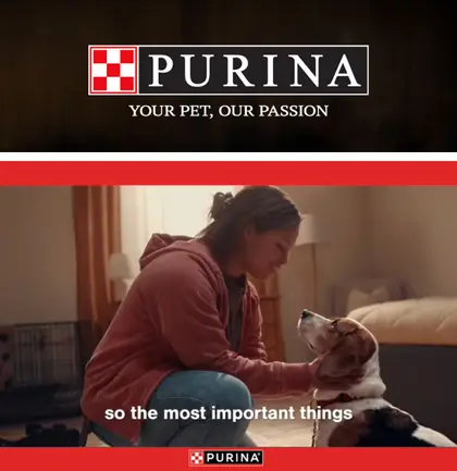 New Baden Market IGA Purina