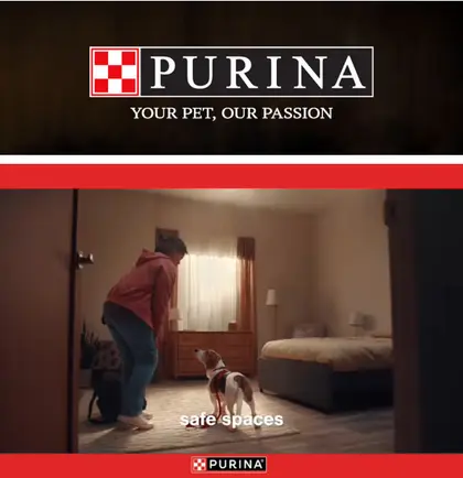 D & R Market IGA Purina
