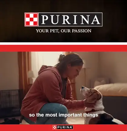 Allen's IGA Purina
