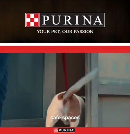 Brackett's Market IGA Purina