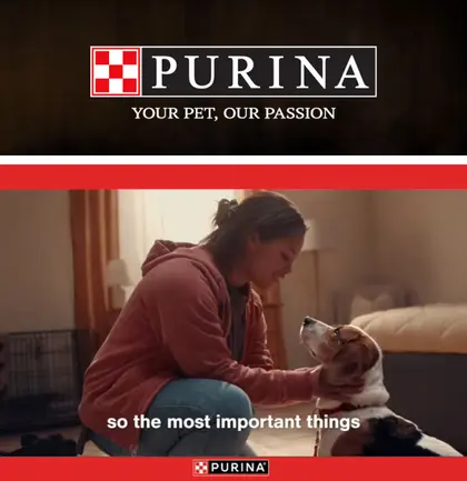 Goggin's Supermarket Purina