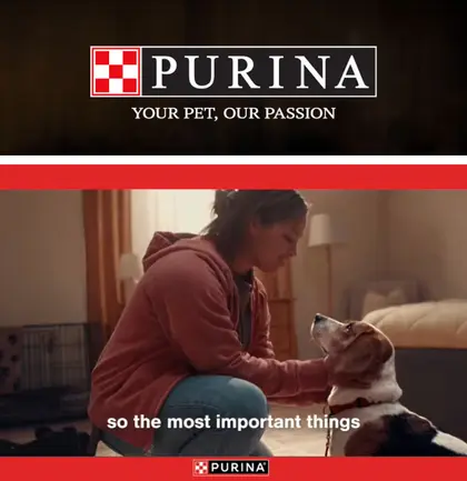 Lyons IGA Purina