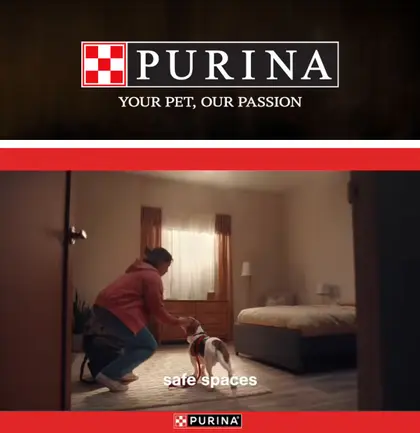 Bishops Market IGA Purina