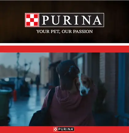 John's IGA Purina