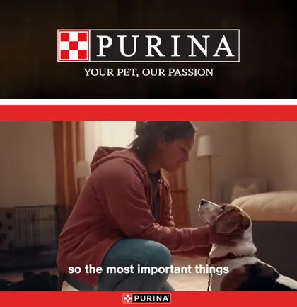 Rideout's IGA Purina