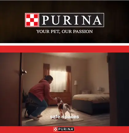 Rivertown IGA Purina
