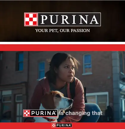 Sky Plaza IGA Purina