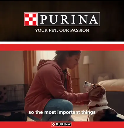 Bruns Apple Market Purina