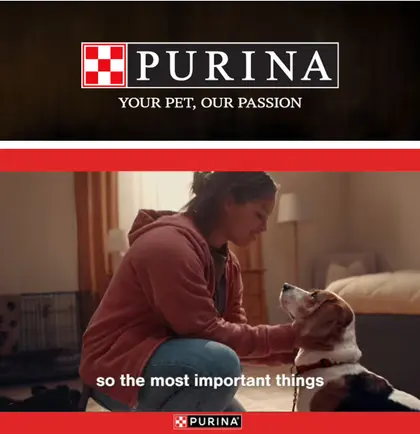Sheridan Select Market Purina