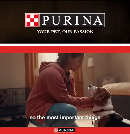 Country Fresh Market Purina