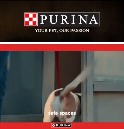 Schlegel's IGA Purina