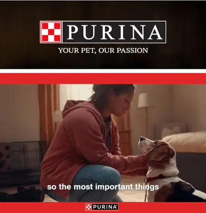 Hewitt IGA Purina