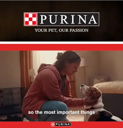 My IGA Purina